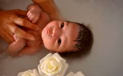 Ambre OGNAR - AMBRE & LUMIERE