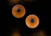 Peter-Gabriel SANCHEZ - ALLIANCE PGS DRONE