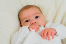 Marie COURONNE - Maar Studio