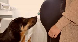 Ambre OGNAR - AMBRE & LUMIERE